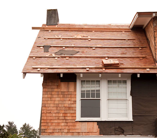 Affordable Siding Repair and Maintenance Services in Mason City, IA